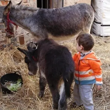 Apartamento A Noguera Turismo Salud
