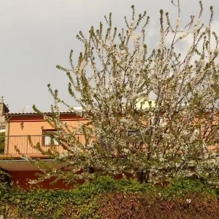En Sierra De Gata Alma Apartment Villamiel
