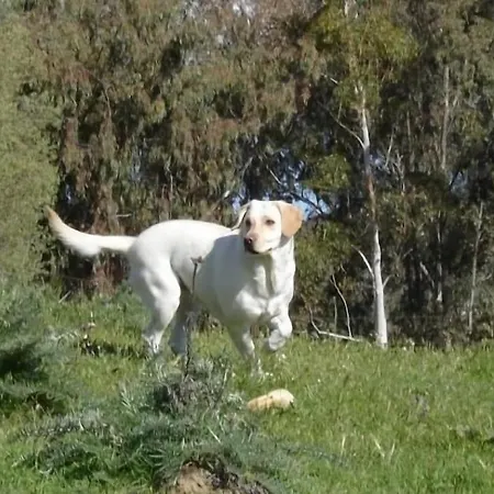 En Sierra De Gata Alma * Villamiel