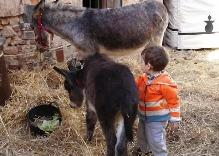Appartement En Sierra De Gata Alma