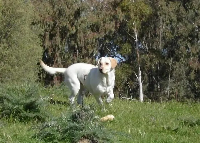 En Sierra De Gata Alma * Villamiel